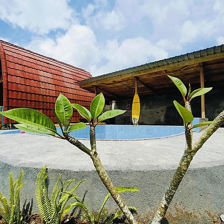 Raturinjani Homestay Selong Exterior photo