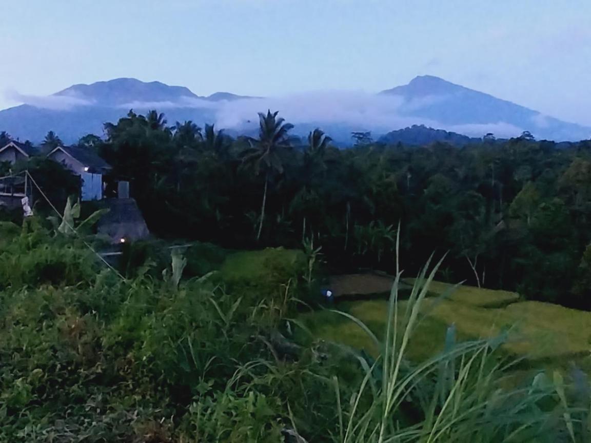 Raturinjani Homestay Selong Exterior photo