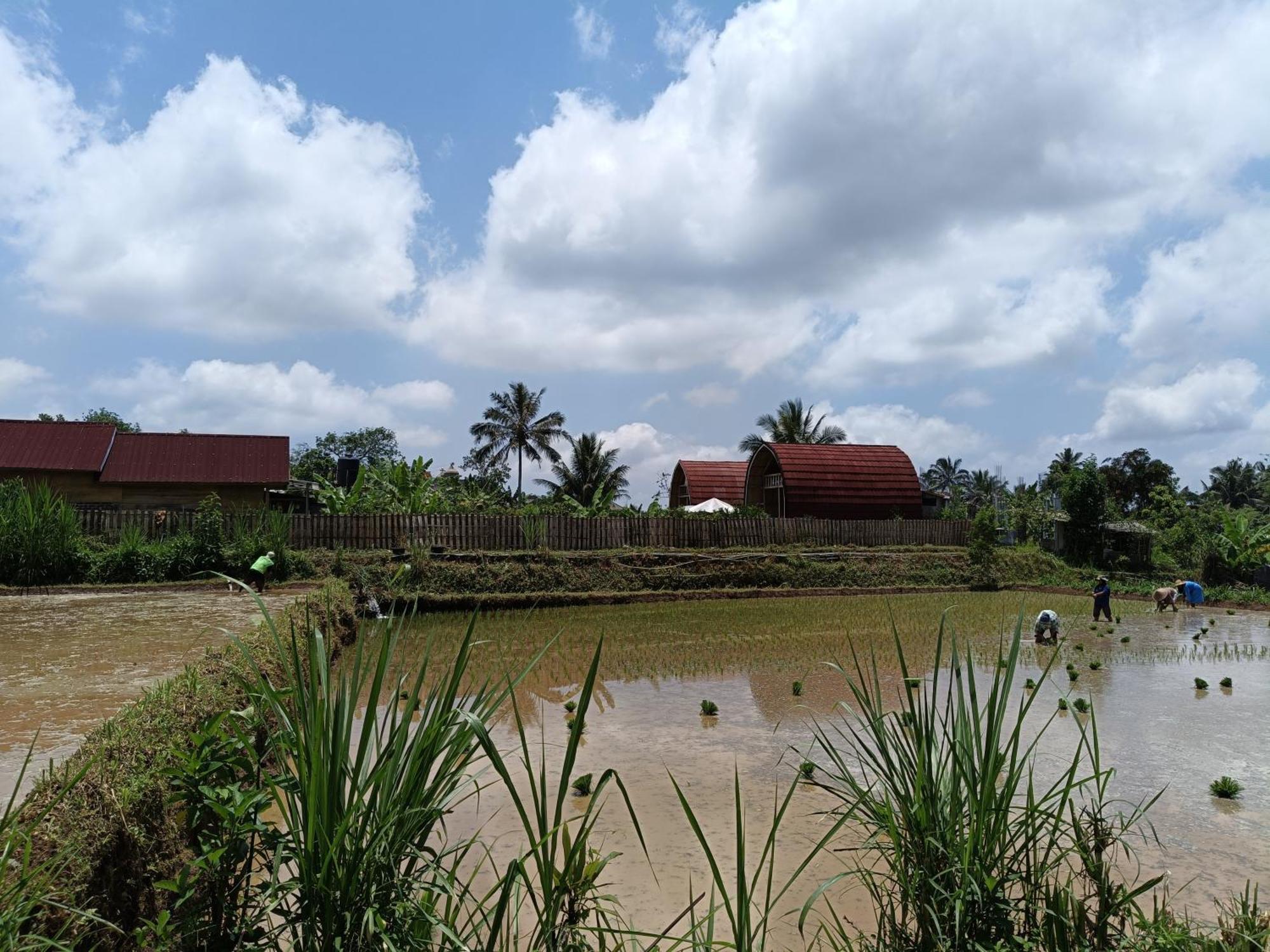 Raturinjani Homestay Selong Exterior photo