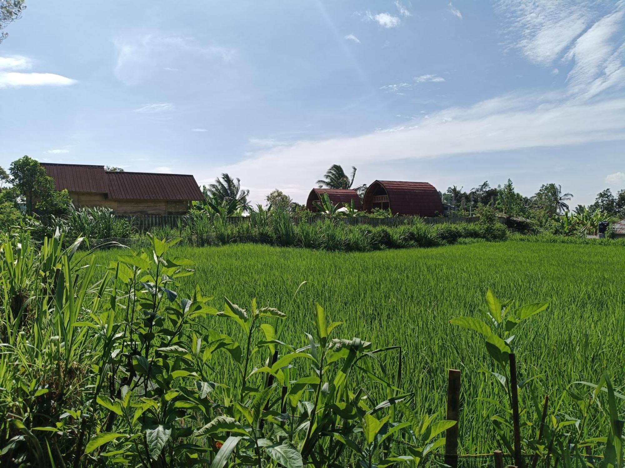 Raturinjani Homestay Selong Room photo