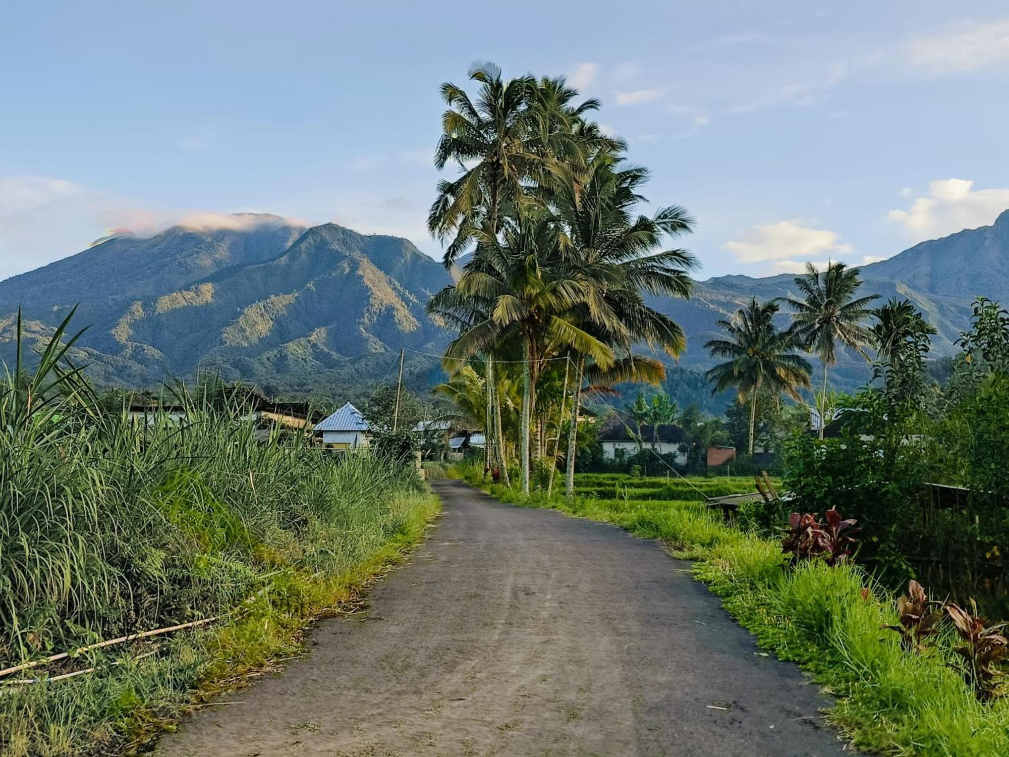Raturinjani Homestay Selong Exterior photo